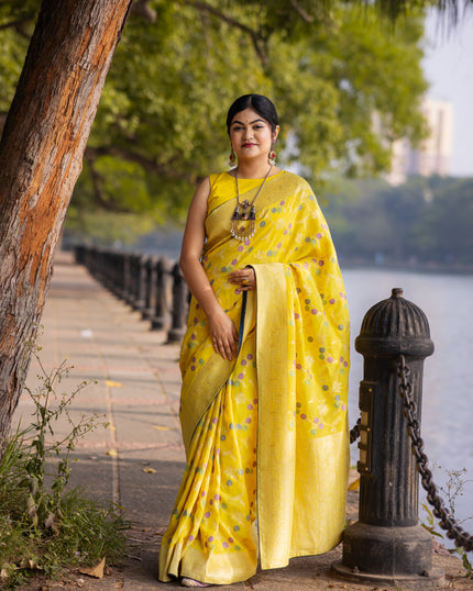 Collection image for: Banarasi